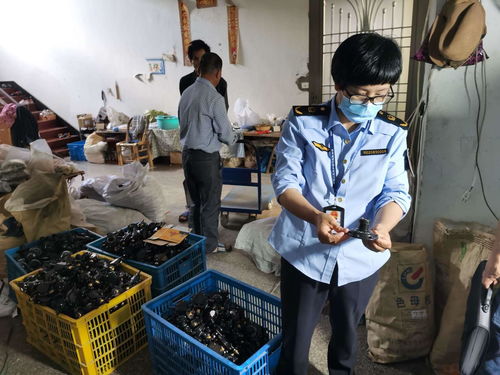 浙江發布打擊侵權假冒商品典型案例，化妝品批發領域成重點